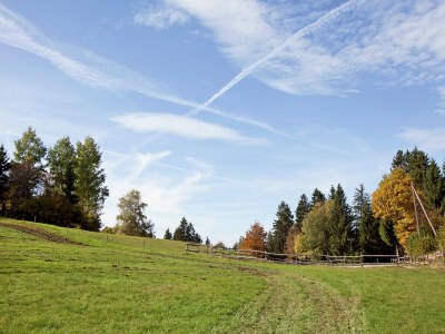 Apartment Wohnung in Dachsberg-Urberg - Environment photo 17