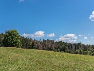 Apartment Wohnung in Dachsberg-Urberg - Environment photo 19