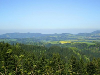 Apartment Wohnung in Dachsberg-Urberg - Environment photo 21