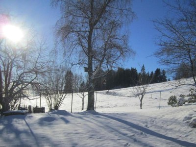Apartment Wohnung in Dachsberg-Urberg - Environment photo 22