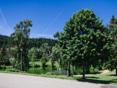 Apartment Wohnung in Dachsberg-Urberg - Environment photo 23
