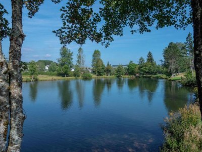 Apartment Wohnung in Dachsberg-Urberg - Environment photo 24