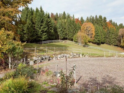 Apartment Wohnung in Dachsberg-Urberg - Environment photo 26