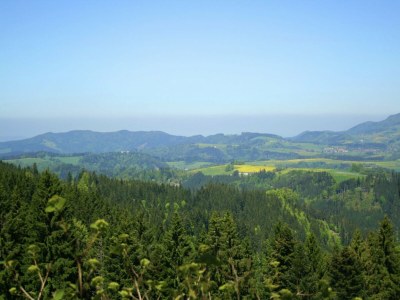 Apartment Wohnung in Dachsberg-Urberg - Environment photo 27