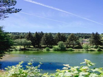 Apartment Wohnung in Dachsberg-Urberg - Environment photo 30