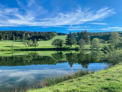 Apartment Wohnung in Dachsberg-Urberg - Environment photo 32