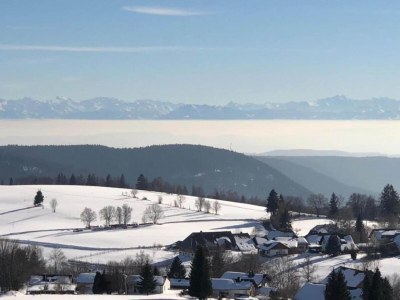 Apartment Wohnung in Dachsberg-Urberg - Environment photo 34