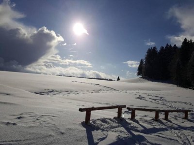 Apartment Wohnung in Dachsberg-Urberg - Environment photo 35
