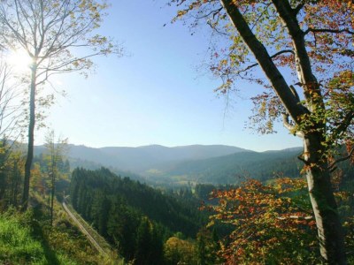 Apartment Wohnung in Dachsberg-Urberg - Environment photo 38