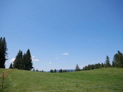 Apartment Wohnung in Dachsberg-Urberg - Environment photo 39