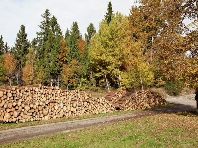 Apartment Malerische Erdgeschosswohnung - Environment photo 32