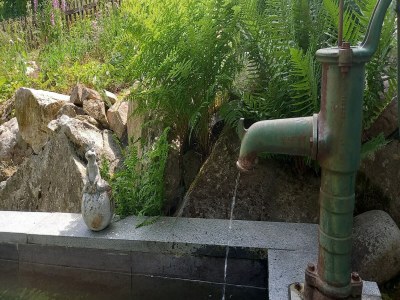 Apartment Forsthauswohnung im Schwarzwald - Outdoor photo 11