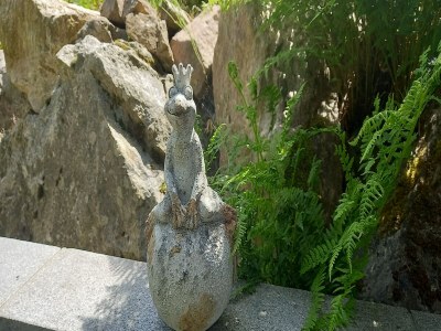 Apartment Forsthauswohnung im Schwarzwald - Outdoor photo 12