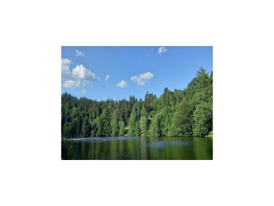 Apartment Forsthauswohnung im Schwarzwald - Environment photo 26