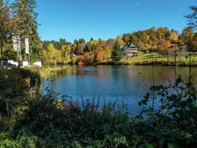 Apartment Forsthauswohnung im Schwarzwald - Environment photo 30