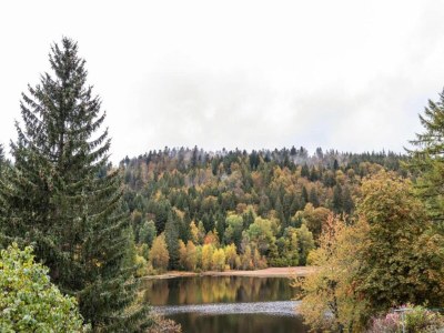 Apartment Forsthauswohnung im Schwarzwald - Environment photo 33