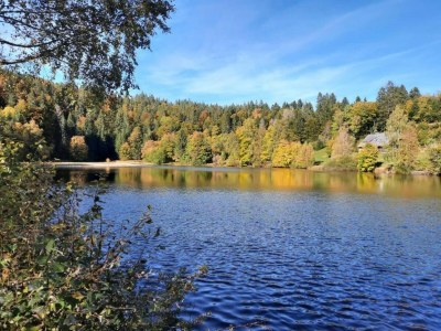 Apartment Forsthauswohnung im Schwarzwald - Environment photo 34
