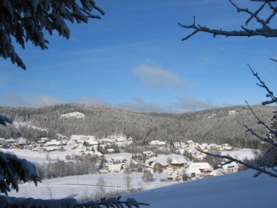 Apartment Forsthauswohnung im Schwarzwald - Environment photo 35