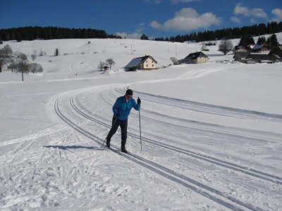 Apartment Forsthauswohnung im Schwarzwald - Environment photo 36