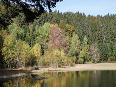 Apartment Ferienhaus in Wittenschwand - Environment photo 21