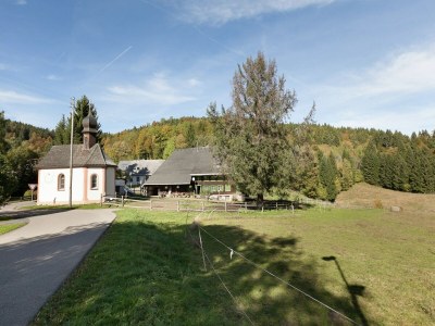 Apartment Ferienhaus in Wittenschwand - Environment photo 33