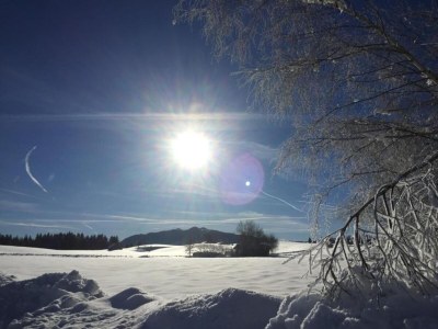 Apartment Ferienwohnung in Bad Bayersoien - Environment photo 21