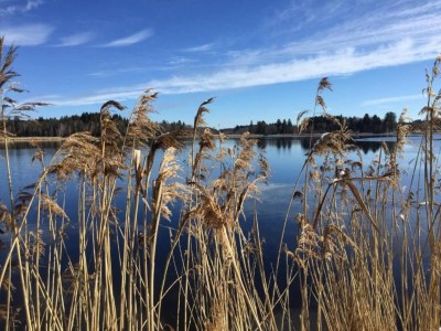 Apartment Ferienwohnung in Bad Bayersoien - Environment photo 29