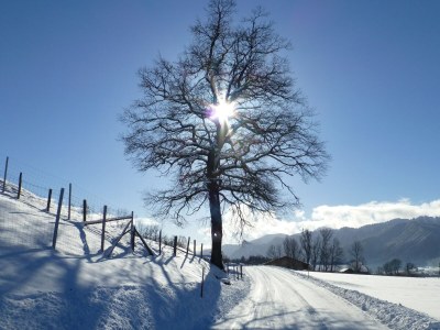 Apartment Gemütliche Alpenwohnung in Altenau - Environment photo 21