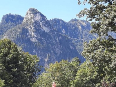 Apartment Gemütliche Alpenwohnung in Altenau - Environment photo 31