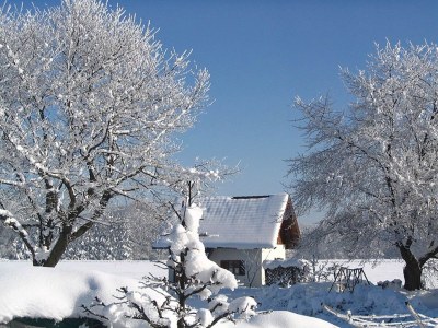 Holiday house Erholsames Ferienhaus in Feldwies in Chiemgau - Holiday house