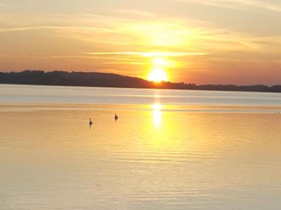 Holiday house Erholsames Ferienhaus in Feldwies - Environment photo 28