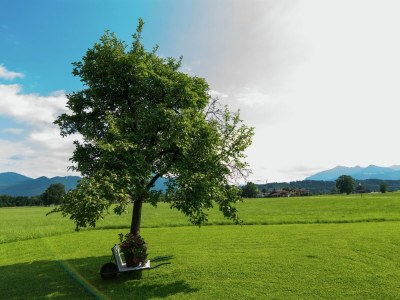 Apartment Gemütlicher Familienaufenthalt in Feldwies - Environment photo 30
