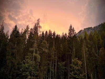Apartment Ferienwohnung mit Bergaufenthalt in Schönau - Environment photo 35