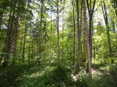 Apartment Uriger Komfort, Alpenparadies - Environment photo 18