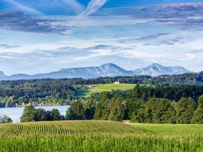 Holiday house Bayerisches Refugium mit Sauna - Environment photo 32