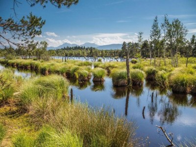 Holiday house Bayerisches Refugium mit Sauna - Environment photo 35