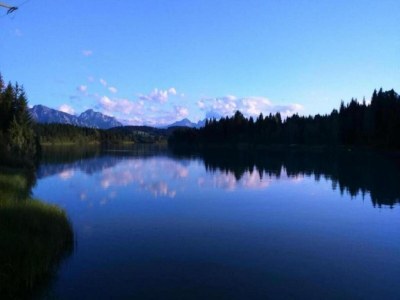 Farmhouse Ferienwohnung im Allgäu - Environment photo 21