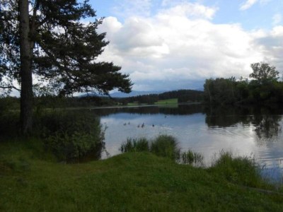 Farmhouse Ferienwohnung im Allgäu - Environment photo 23