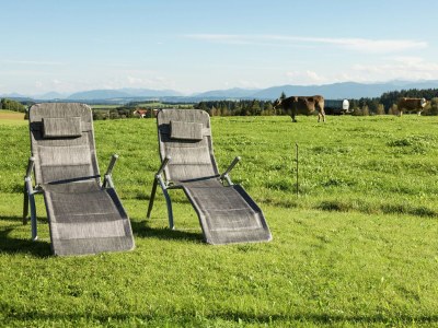 Farmhouse Ferienwohnung im Allgäu - Outdoor photo 9