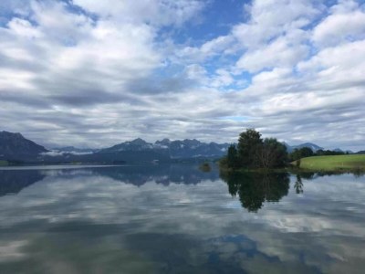 Farmhouse Ferienwohnung im Allgäu - Environment photo 30