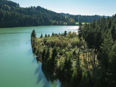 Farmhouse Ferienwohnung im Allgäu - Environment photo 32