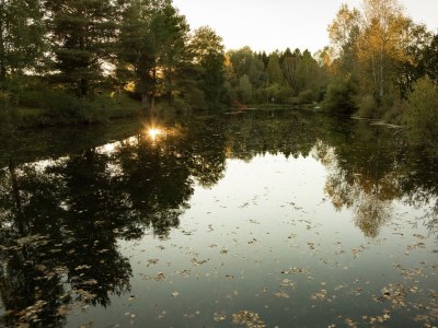 Farmhouse Ferienwohnung im Allgäu - Environment photo 35
