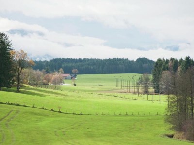 Holiday house Ländliches Haus in der Nähe bayerischer Seen - Environment photo 27