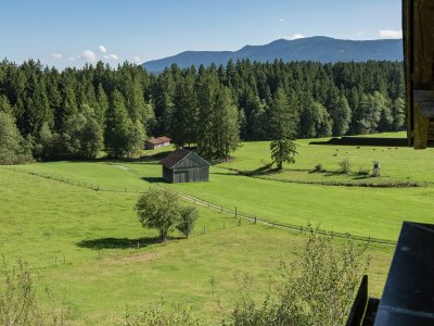 Farmhouse Alpiner Aufenthalt mit Balkon in Steingaden - Outdoor photo 7