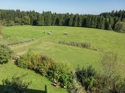 Farmhouse Alpiner Aufenthalt mit Balkon in Steingaden - Outdoor photo 8