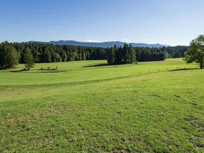 Farmhouse Alpiner Aufenthalt mit Balkon in Steingaden - Environment photo 31