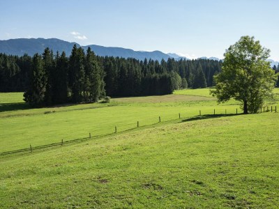 Farmhouse Alpiner Aufenthalt mit Balkon in Steingaden - Environment photo 35