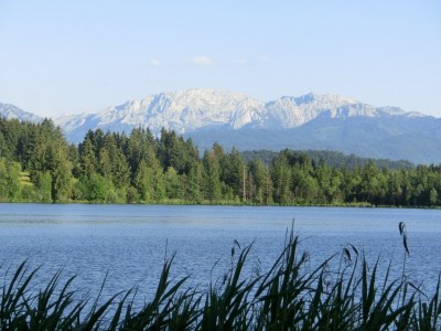 Apartment Ferienwohnung in Halblech - Environment photo 25