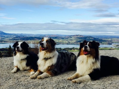 Apartment Ferienwohnung in Halblech - Environment photo 27