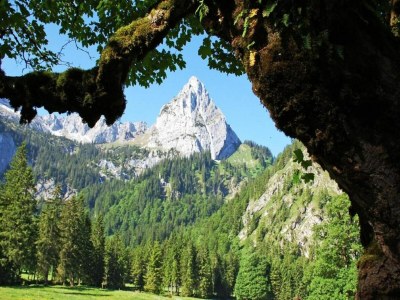 Apartment Ferienwohnung in Halblech - Environment photo 28